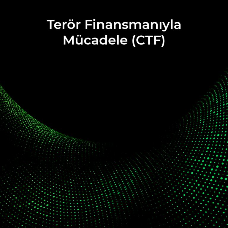 Terör Finansmanıyla Mücadele (CTF)