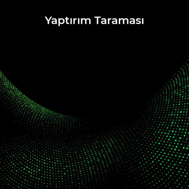 Yaptırım Taraması